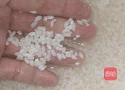 糯米珍珠肉丸的做法图解1