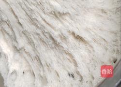 刀切馒头（暄软劲道)的做法图解10