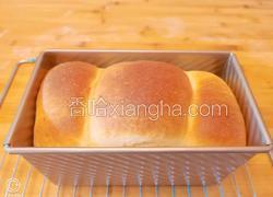 吐司（烘培小白入门）