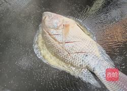 豆腐鲫鱼汤的做法图解5