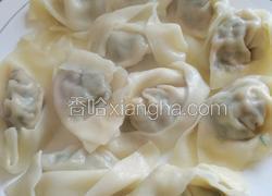 茴香猪肉饺子