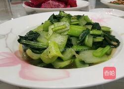 炒白菜的做法图解4