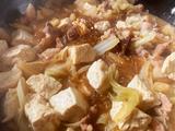 猪肉白菜炖粉条（家常版）