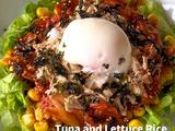 金枪鱼生菜拌饭