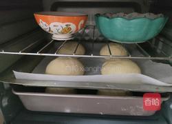 汉堡胚的做法图解7