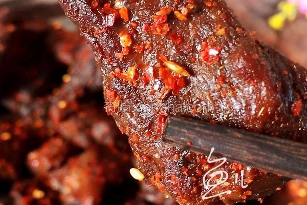 辣味牛肉干(烤箱版)