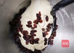 鲜奶提子吐司(2个450g吐司)牛奶液种的做法图解7