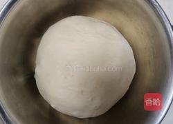 鲜奶提子吐司(2个450g吐司)牛奶液种的做法图解9