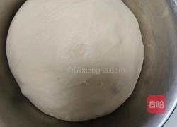 鲜奶提子吐司(2个450g吐司)牛奶液种的做法图解10