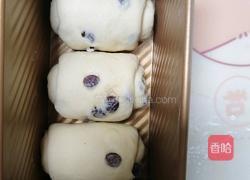 鲜奶提子吐司(2个450g吐司)牛奶液种的做法图解17