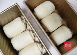 巴斯克吐司（2个450g)的做法图解14