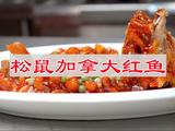 松鼠加拿大红鱼的做法[图]